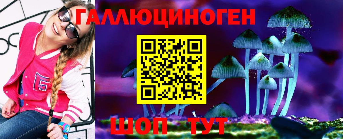 Зеленодольск  Псилоцибиновые грибы GOLDEN TEACHER  Псилоцибиновые грибы GOLDEN TEACHER  Вход с VPN 