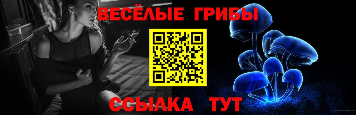 Псилоцибиновые грибы Magic Shrooms Зеленодольск