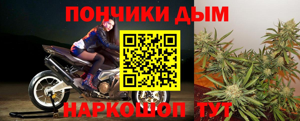 Бошки марихуана гибрид  Шишки марихуана план  Зеленодольск  Вход с VPN  Бошки марихуана Amnesia 